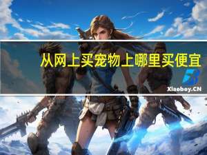 从网上买宠物上哪里买便宜