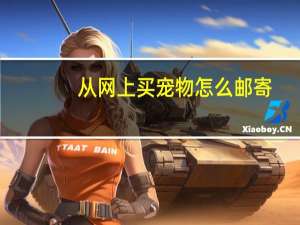 从网上买宠物怎么邮寄
