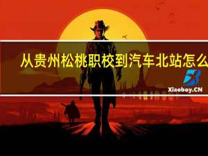 从贵州松桃职校到汽车北站怎么走