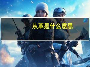 从革是什么意思