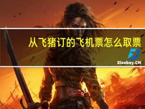 从飞猪订的飞机票怎么取票（从飞）