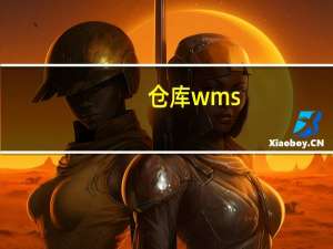 仓库wms（关于仓库wms的介绍）