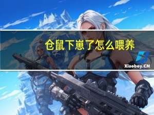 仓鼠下崽了怎么喂养