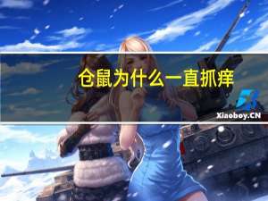 仓鼠为什么一直抓痒