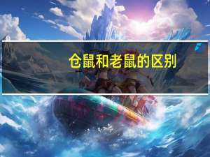 仓鼠和老鼠的区别