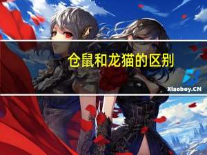 仓鼠和龙猫的区别