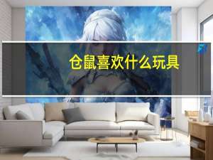 仓鼠喜欢什么玩具