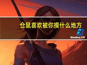 仓鼠喜欢被你摸什么地方
