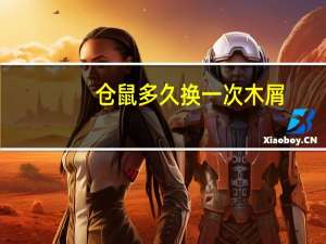 仓鼠多久换一次木屑