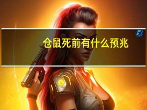 仓鼠死前有什么预兆