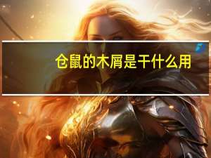 仓鼠的木屑是干什么用