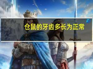 仓鼠的牙齿多长为正常