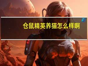 仓鼠精英养猫怎么样啊