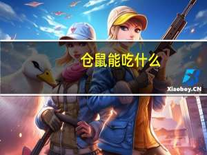 仓鼠能吃什么