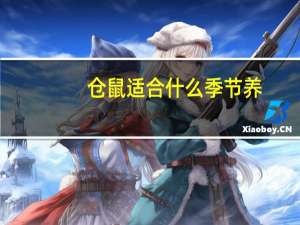 仓鼠适合什么季节养