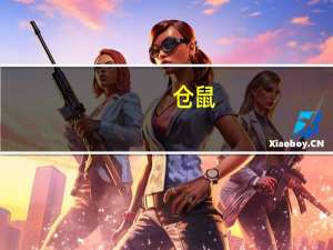 仓鼠（关于仓鼠的介绍）