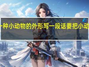 仔细观察一种小动物的外形写一段话要把小动物的外形写具体