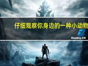 仔细观察你身边的一种小动物，用几句话写出它的外形特点