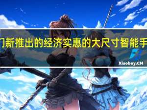 他们新推出的经济实惠的大尺寸智能手机MAX3