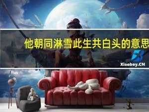 他朝同淋雪此生共白头的意思
