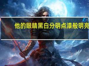 他的眼睛黑白分明点漆般明亮