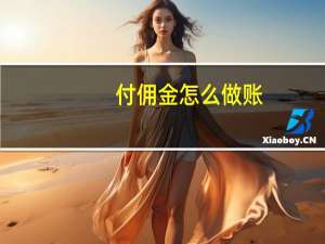 付佣金怎么做账