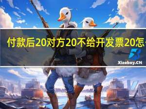 付款后 对方 不给开发票 怎么办