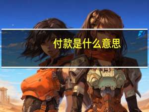 付款是什么意思