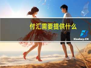 付汇需要提供什么