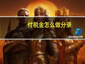付税金怎么做分录