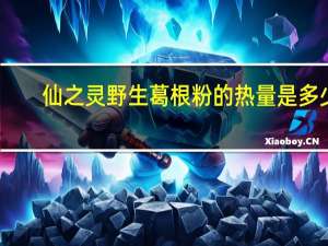 仙之灵 野生葛根粉的热量是多少