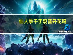 仙人掌千手观音开花吗