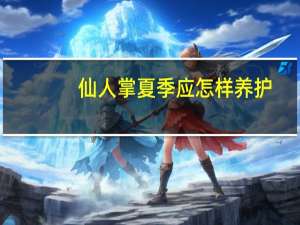 仙人掌夏季应怎样养护