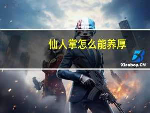 仙人掌怎么能养厚（养厚仙人掌的方法）