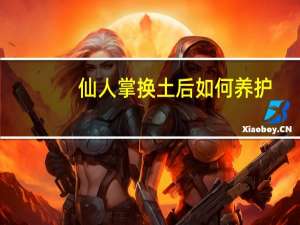 仙人掌换土后如何养护
