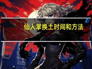 仙人掌换土时间和方法