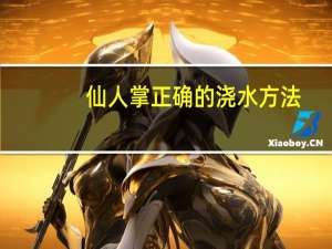 仙人掌正确的浇水方法：各个季节气候不同