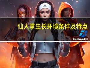 仙人掌生长环境条件及特点