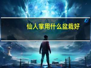 仙人掌用什么盆栽好