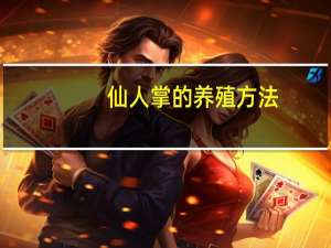 仙人掌的养殖方法：浇水过多容易烂根