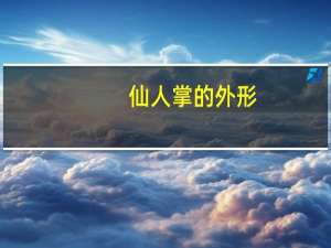 仙人掌的外形,特点,以及作用