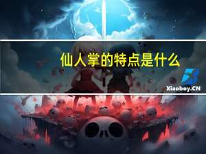仙人掌的特点是什么_