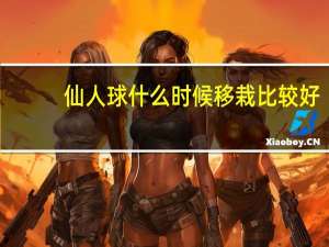 仙人球什么时候移栽比较好