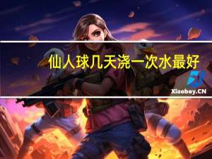 仙人球几天浇一次水最好