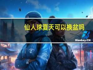 仙人球夏天可以换盆吗