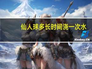 仙人球多长时间浇一次水