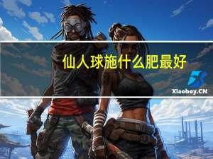 仙人球施什么肥最好