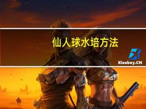 仙人球水培方法：仙人球在诱变过程中严禁对球体喷水