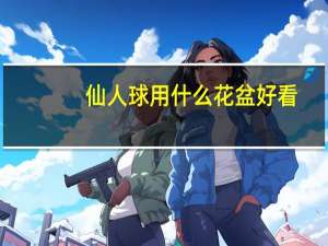 仙人球用什么花盆好看