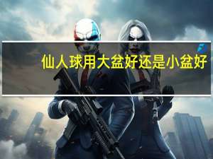 仙人球用大盆好还是小盆好